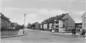 Pappeldamm - Lange Hecke
