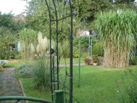 Garten 2014 014