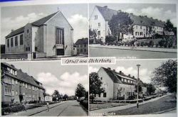 1956 Gruss Steterburg
